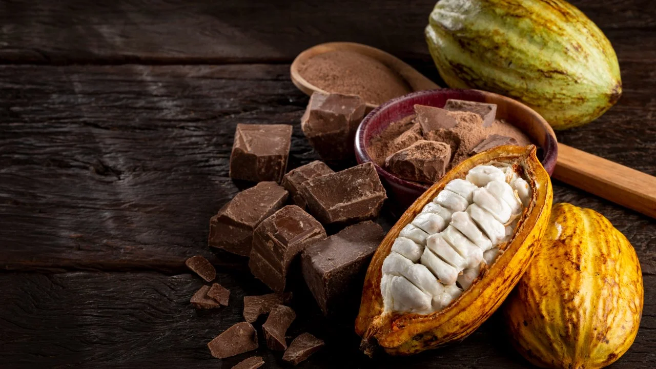 Produits et fèves de cacao