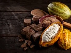 Cocoa with chocolate pieces and chocolate powder on the table.
