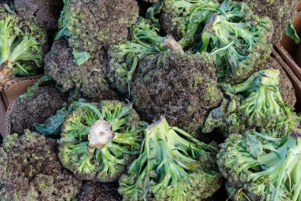 Unsold vegetables in a supermarket. The overabundance of supply over demand. Selective focus. View from above. Without people.