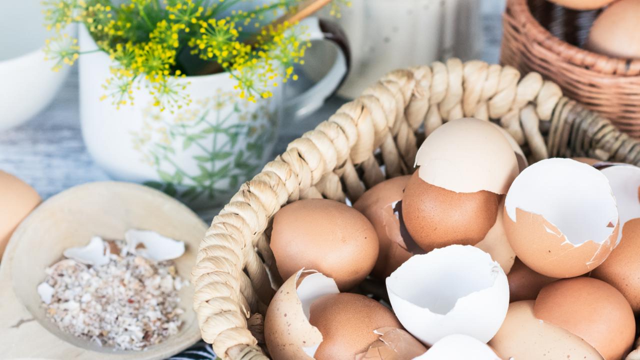 Make a Seashell Planter by The Everyday Home www. - The  Everyday Home