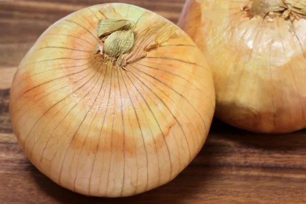Macro image of Vidalia onions also known as sweet onions with selective focus on foreground top onion.