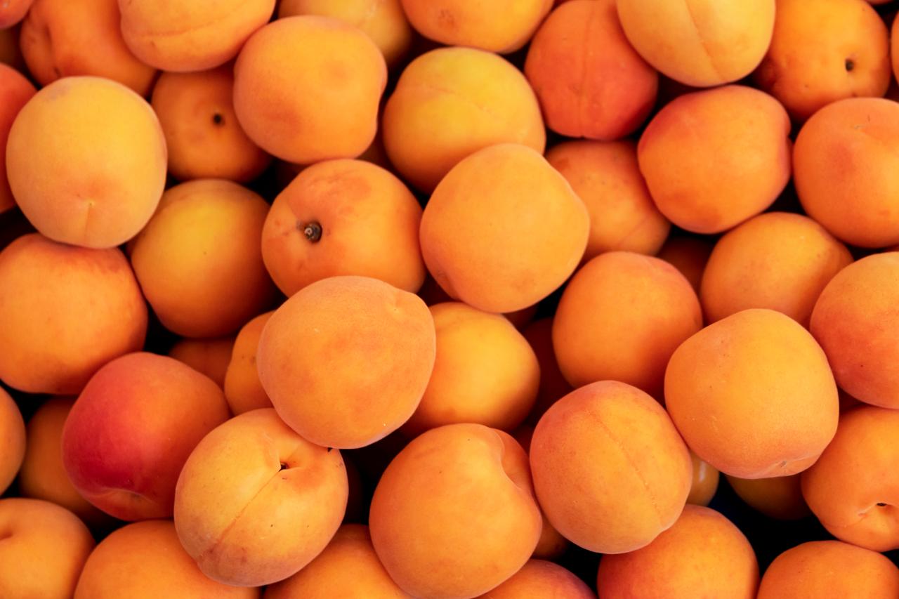 In Season Apricots Everything to Know about Apricots Cooking