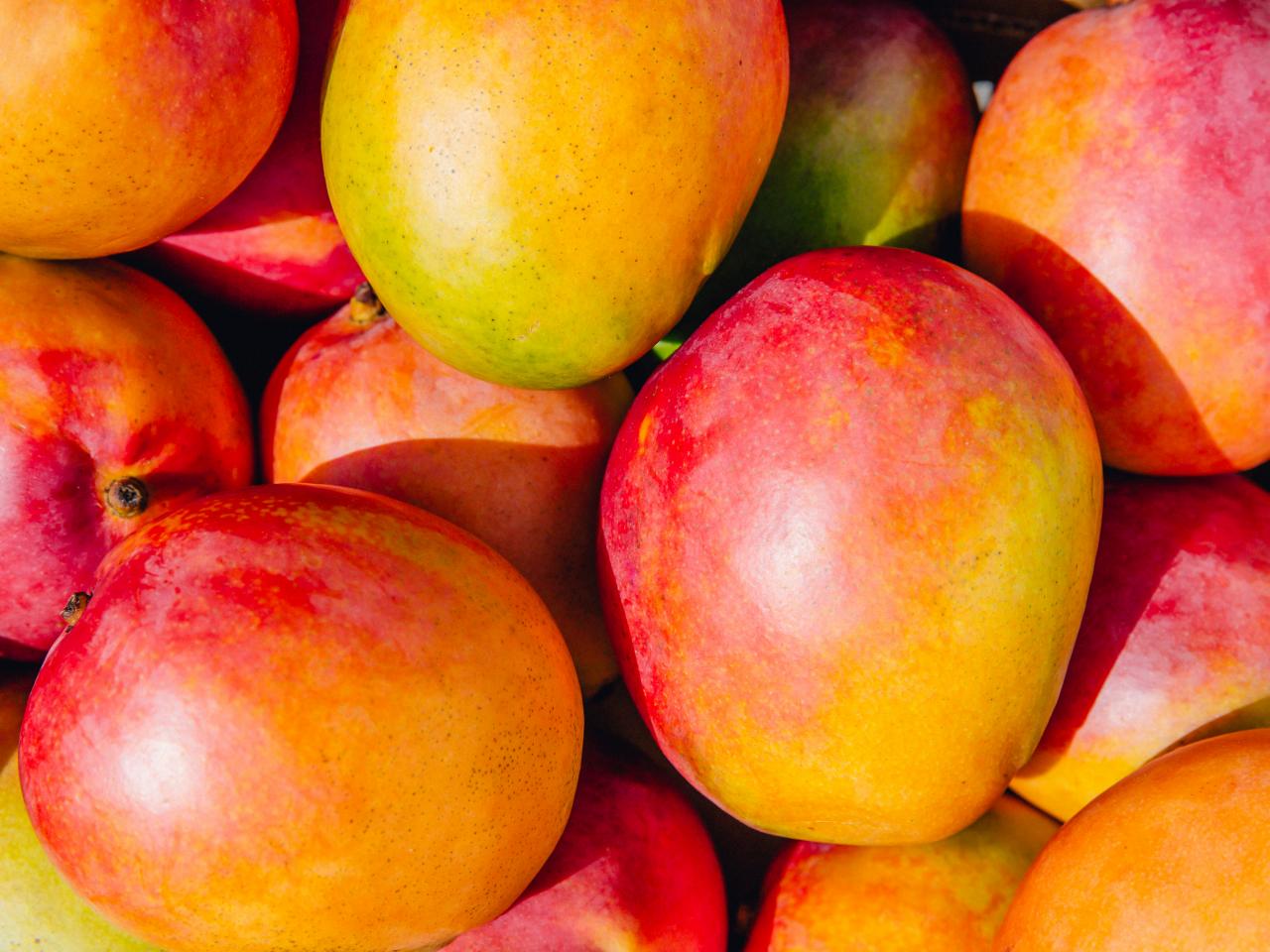 Mango Images