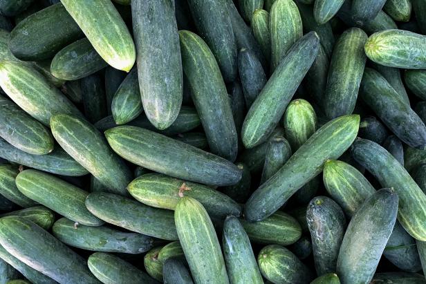 Plucked cucumbers on a farm ready to sell in a market