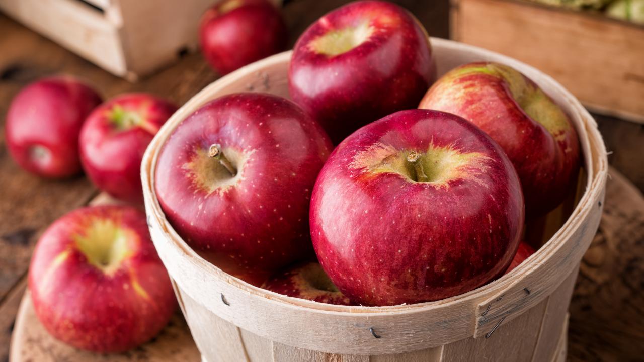 Everything You Wanted to Know About Apples