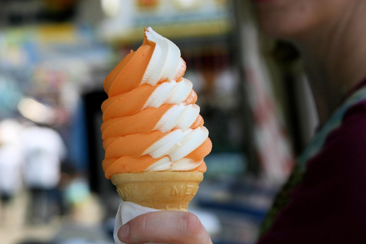 Frozen Custard vs Ice Cream What’s the Difference? Cooking School