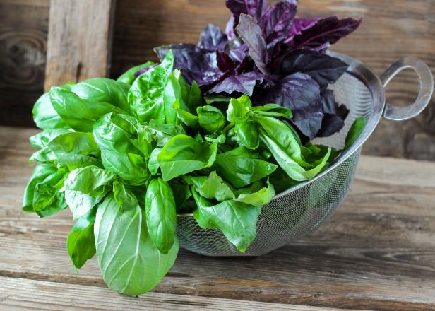 Bunch of fresh red and green basil in a strainer on the rustic wooden table