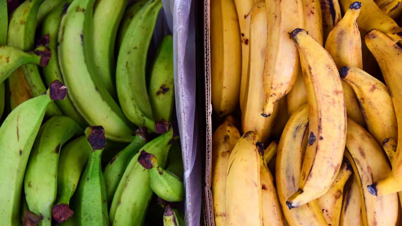 https://food.fnr.sndimg.com/content/dam/images/food/fullset/2023/8/3/green-and-yellow-plantains-piles-for-sale-side-by-side-close-up.jpg.rend.hgtvcom.1280.720.suffix/1691063976160.jpeg