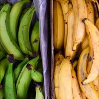 Close up overhead view of two piles of green and yellow plantains on sale at a market in London