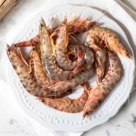 white plate of fresh shrimp, top view on white marble bottom and placemat white paper