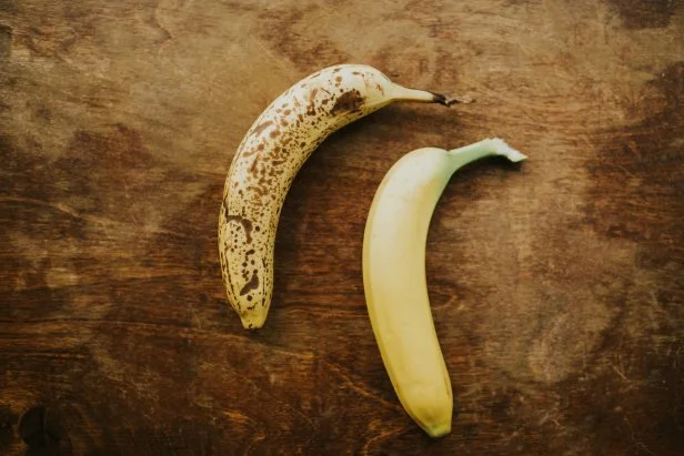 Conceptual image. Over ripe banana beside a ripe banana. Ageing process.