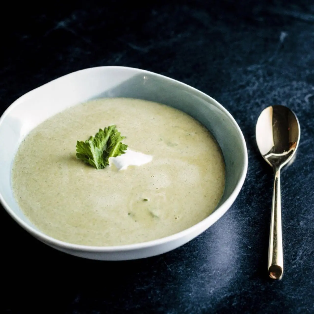 dressing with cream of celery soup Cream of Celery Soup