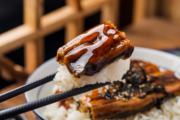 Japanese eel grilled with rice bowl or Unagi don - Japanese food style