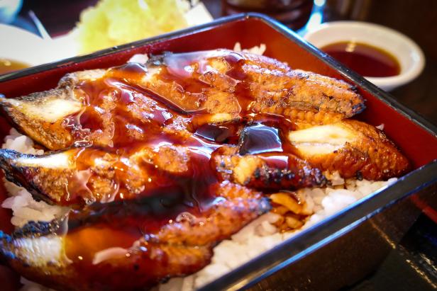 Unadon (é°»ä¸¼ unagi + donburi, literally "eel bowl") consists of a donburi type large bowl filled with steamed white rice, and topped with fillets of eel (unagi) grilled in a style known as kabayaki, similar to teriyaki.