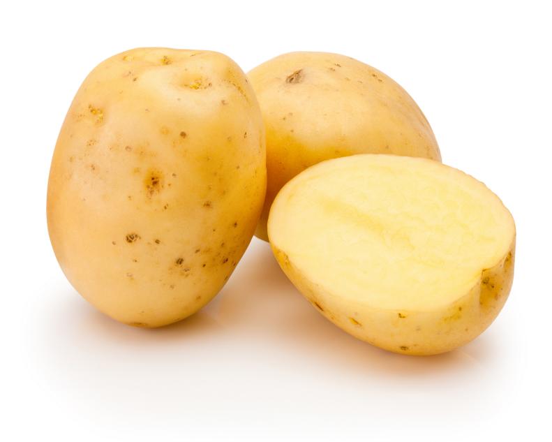 Raw potatoes freshly cut  in half isolated on a white background