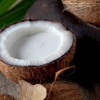 half coconut (Cocos nucifera) with coconut milk