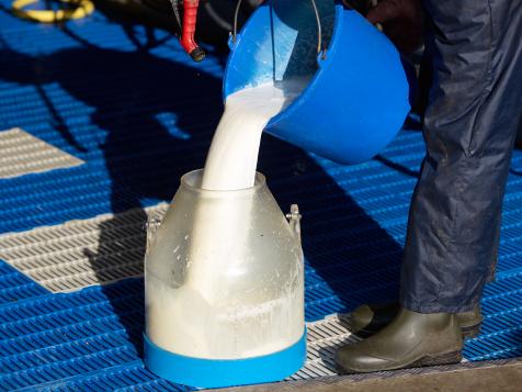 Should You Drink Raw Milk?