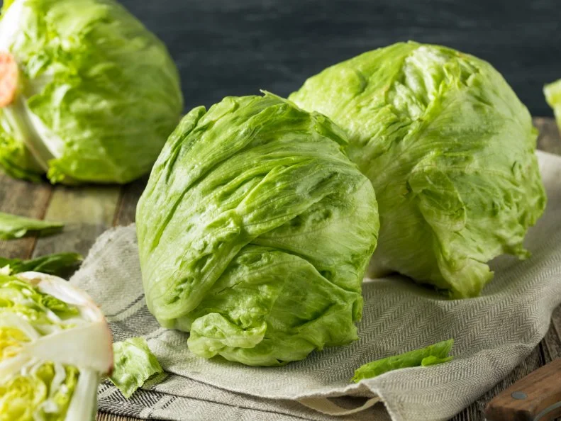 Raw Organic Round Crisp Iceberg Lettuce Ready to EAt