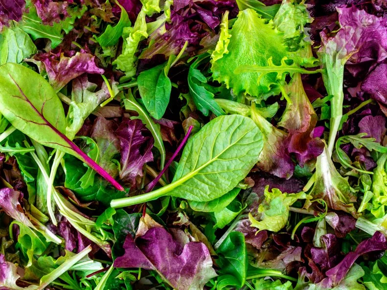 Salad mix leaves background. Fresh Salad Pattern with rucola, purple  lettuce, spinach, frisee and  chard leaf