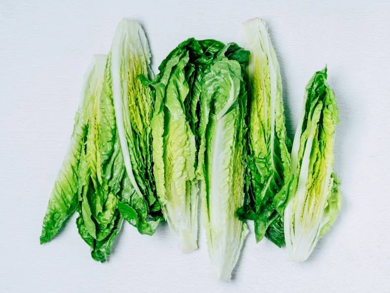 Romaine lettuce on white background