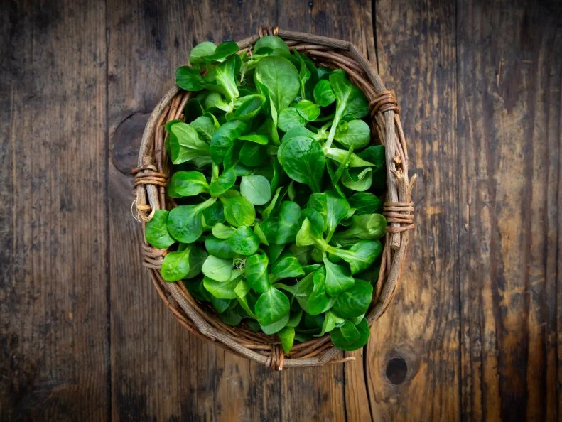 Lamb's lettuce in wickerbasket