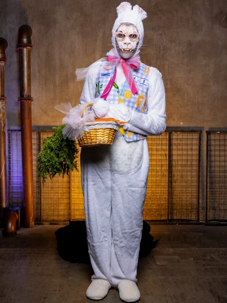 Judge Carla Hall, portrait, as seen on Halloween Baking Championship, Season 10.
