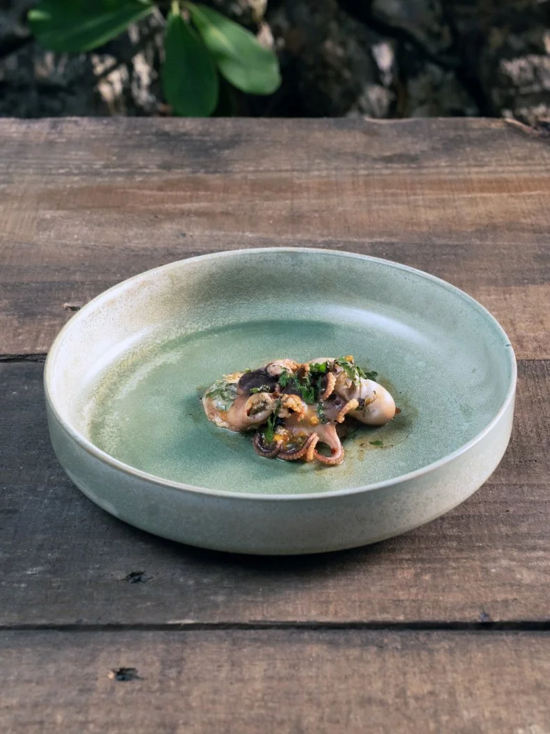 Ara Zada's Gauntlet Dish, as seen on Chopped Castaways: Season 1