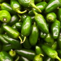 jalapeño peppers