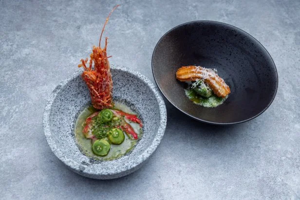 Titan Michael Voltaggio's round 2 dishes, VIETNAMESE STYLE SHRIMP AND AVOCADO AGUACHILE, GRILLED AVOCADO STEAK, SEA BEAN SERRANO CHILE CHURRI, SERRANO PARMESAN CHURRO, as seen on Bobby's Triple Threat,  Season 2