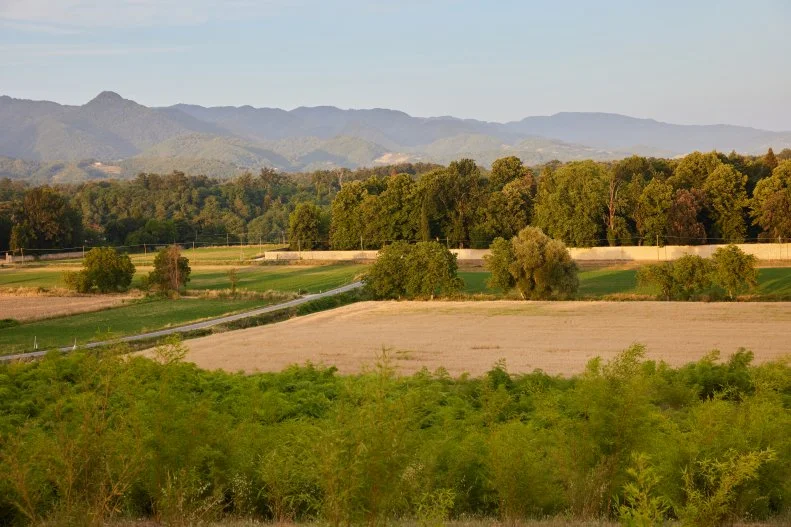 Lanscapes, as seen on Ciao House, Season 1.