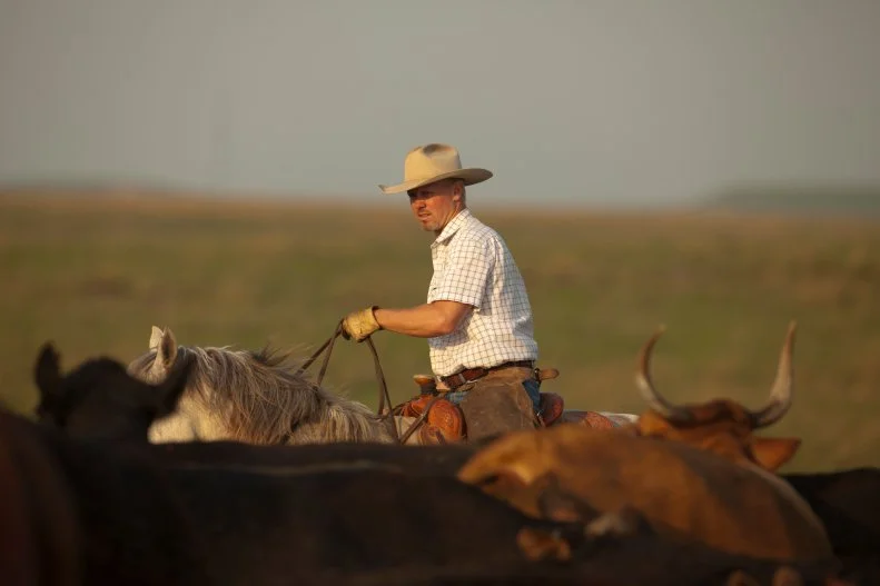 Ladd Drummond on horseback during a cattle drive.
