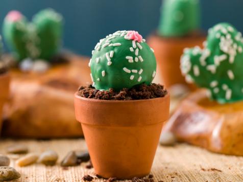 Cactus Cupcakes