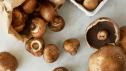 Cleaning and Storing Mushrooms