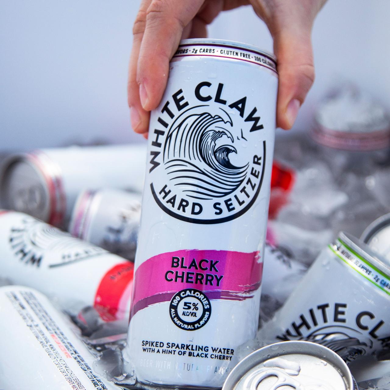 White Claw Hard Seltzer Hard Seltzer, Black Cherry 19.2 fl oz