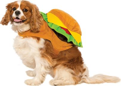 7 Food Themed Halloween Costumes For Pets Halloween Party Ideas And Recipes Food Network Food Network
