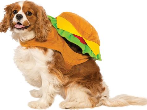 These Food-Themed Pet Costumes Are the Cutest Ever