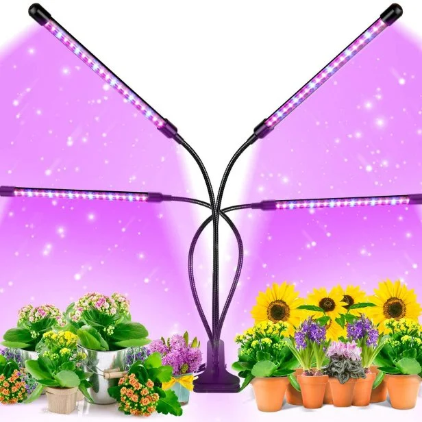 The Easiest Herbs and Vegetables to Grow Indoors Food Network