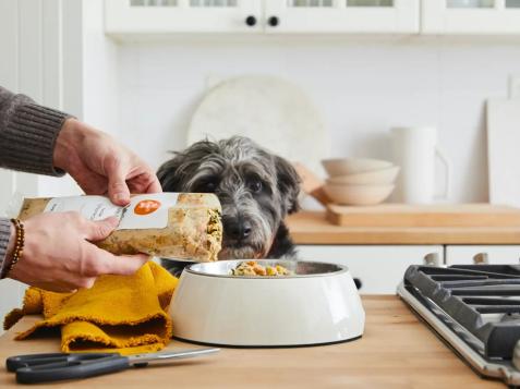 45 Gifts Pets and Pet Owners Will Love This Holiday Season