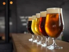 Glasses with different sorts of craft beer on wooden bar. Tap beer in pint glasses arranged in a row. Closeup of five glasses of different types of draught beer in a pub.