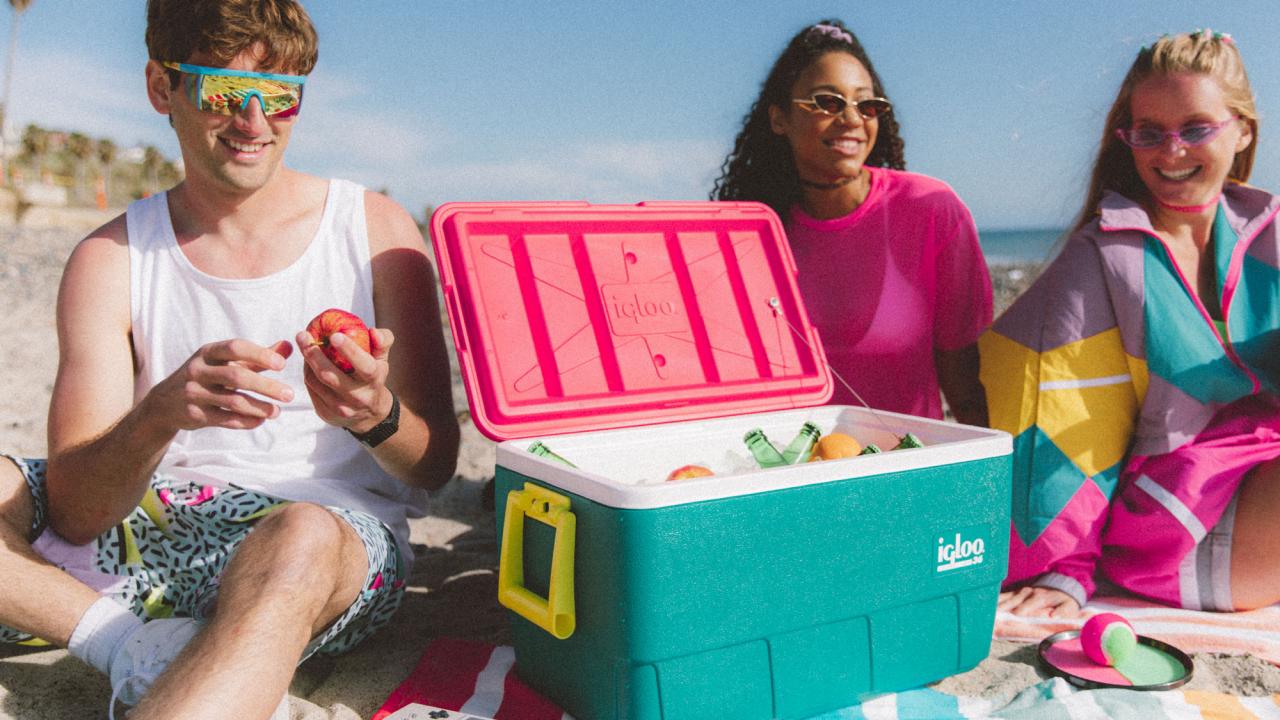 Igloo Retro Collection Inspired by 1980s and 1990s FN Dish