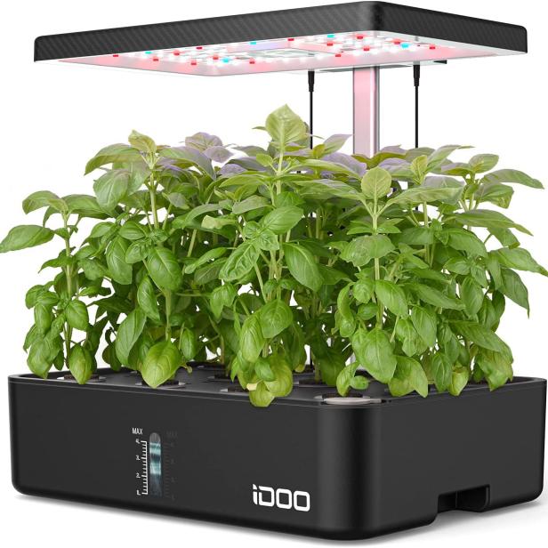 https://food.fnr.sndimg.com/content/dam/images/food/products/2022/10/25/rx_idoo-hydroponics-growing-system.jpeg.rend.hgtvcom.616.616.suffix/1666724939721.jpeg