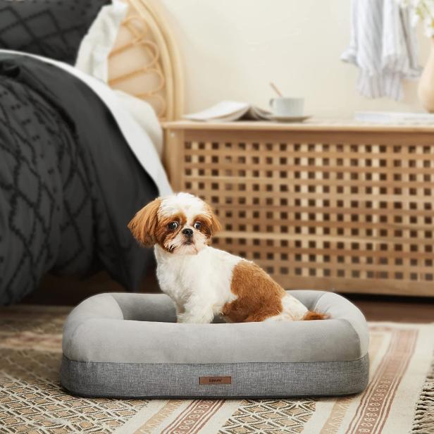 11 best gifts for pet owners in 2023