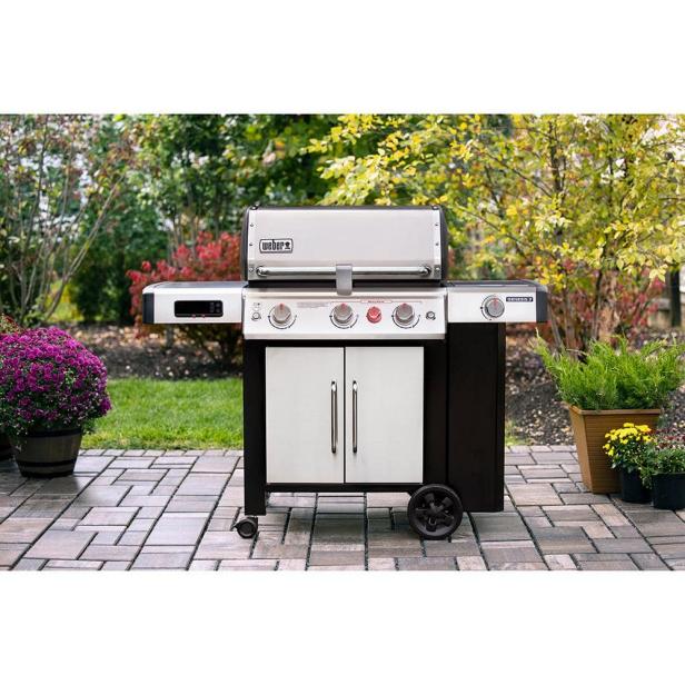 The 11 best gas grills, according to experts