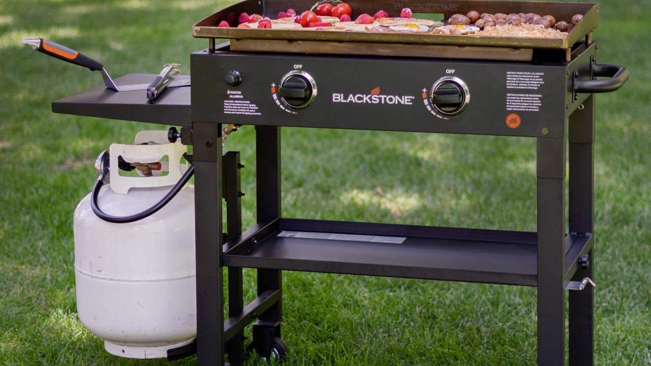 Wayfair  Tabletop Electric Grills You'll Love in 2023