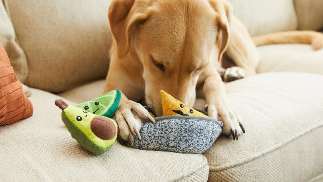 Fun & Chewy Dog Toys, For Any Size Dog