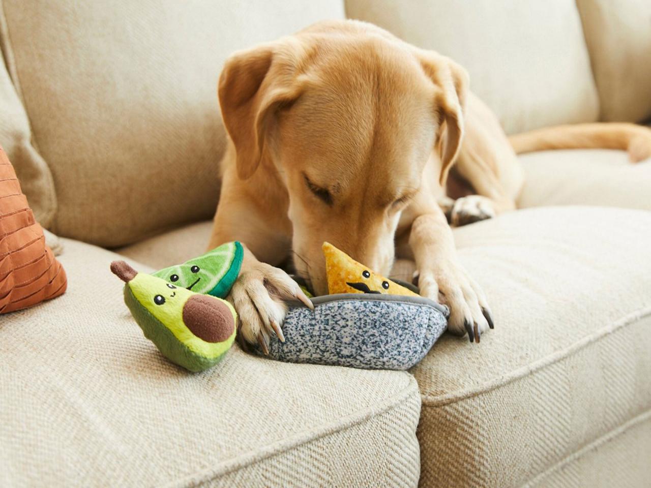 Costco Is Selling Dog Toys That Look Like Its Popular Food Court Items