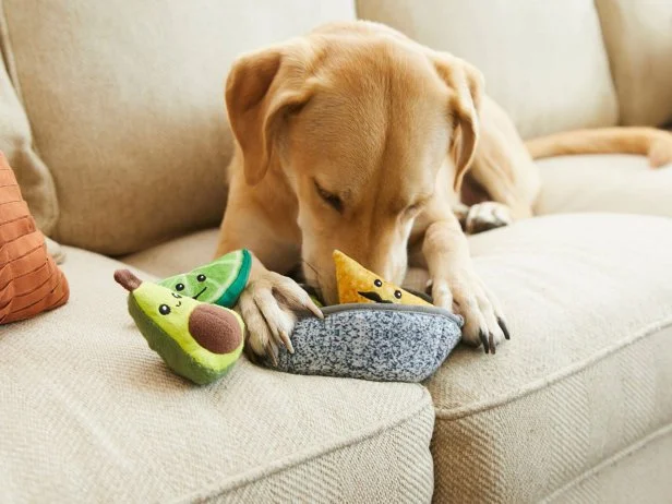 Stuffed animal dog toys shop