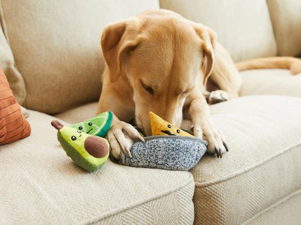 https://food.fnr.sndimg.com/content/dam/images/food/products/2023/1/26/rx_FRISCO-Guacamole-Dog-Toy_s4x3.jpg.rend.hgtvcom.616.462.suffix/1674772971550.jpeg
