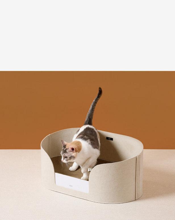 https://food.fnr.sndimg.com/content/dam/images/food/products/2023/11/13/rx_all-day-cat-scratcher-basket.jpeg.rend.hgtvcom.616.770.suffix/1699906519097.jpeg
