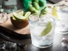 fresh gin tonic